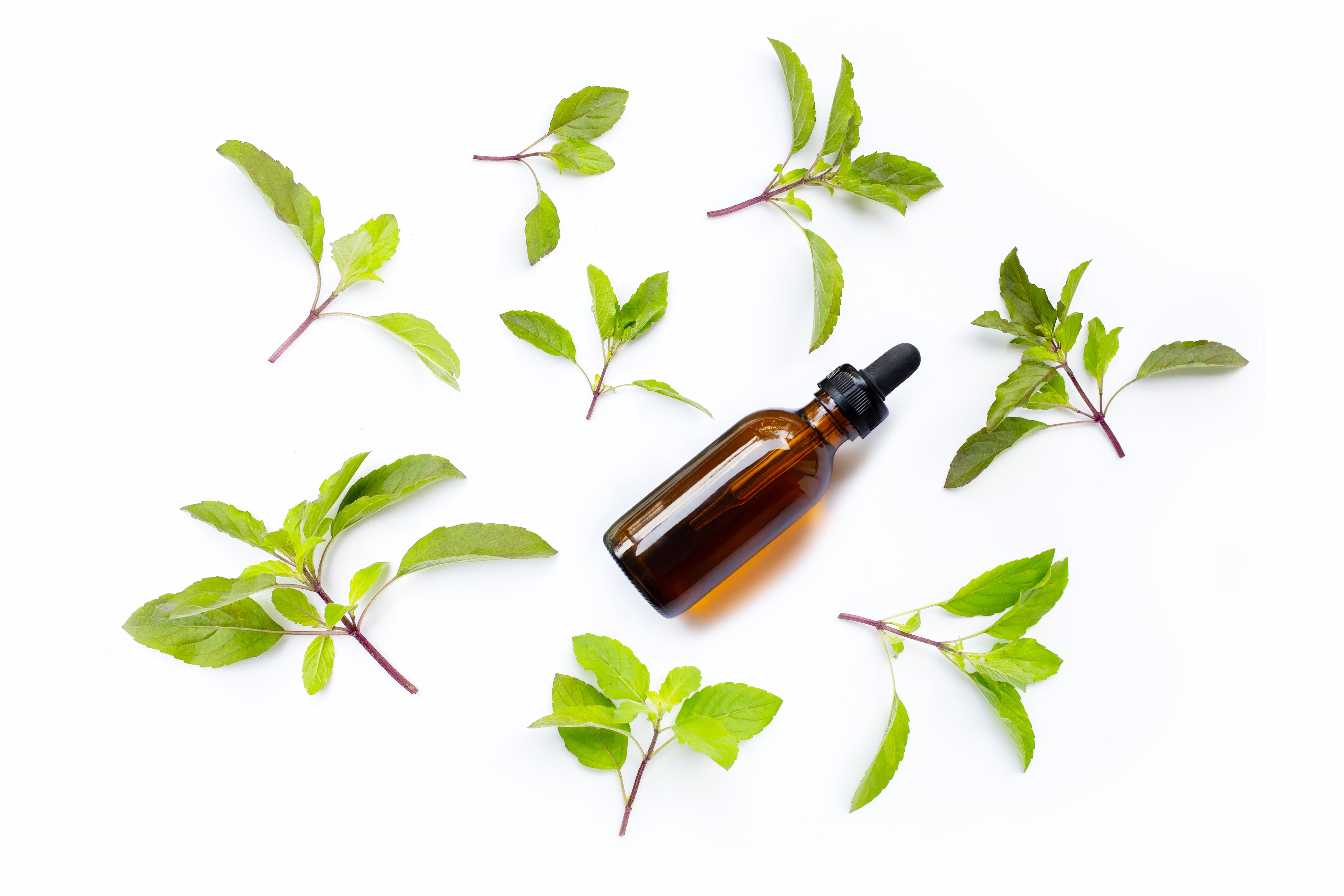 Basil Oil