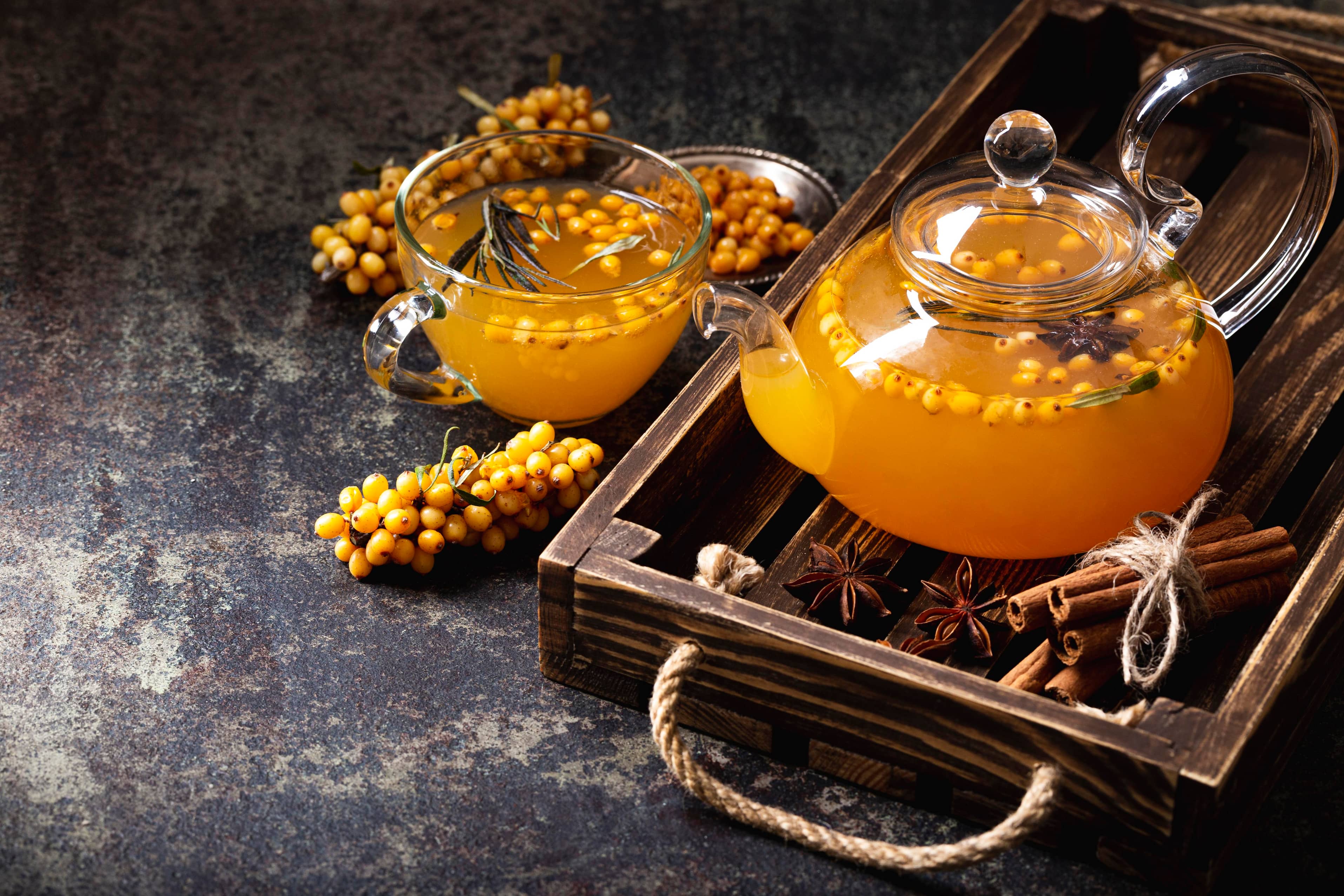 Celastrus Paniculatus (Elixir Of The Intellect)