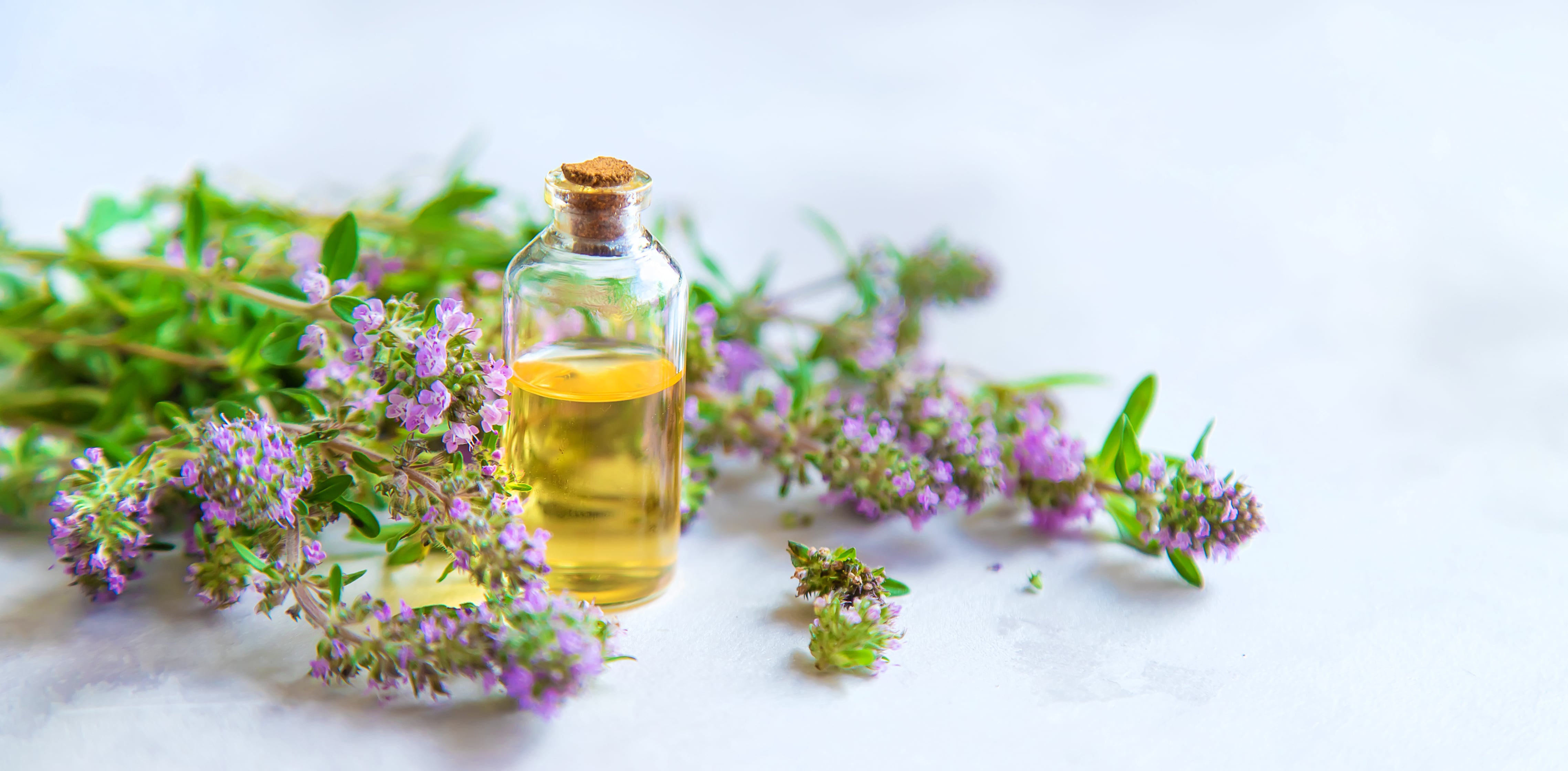 Clary Sage Oil