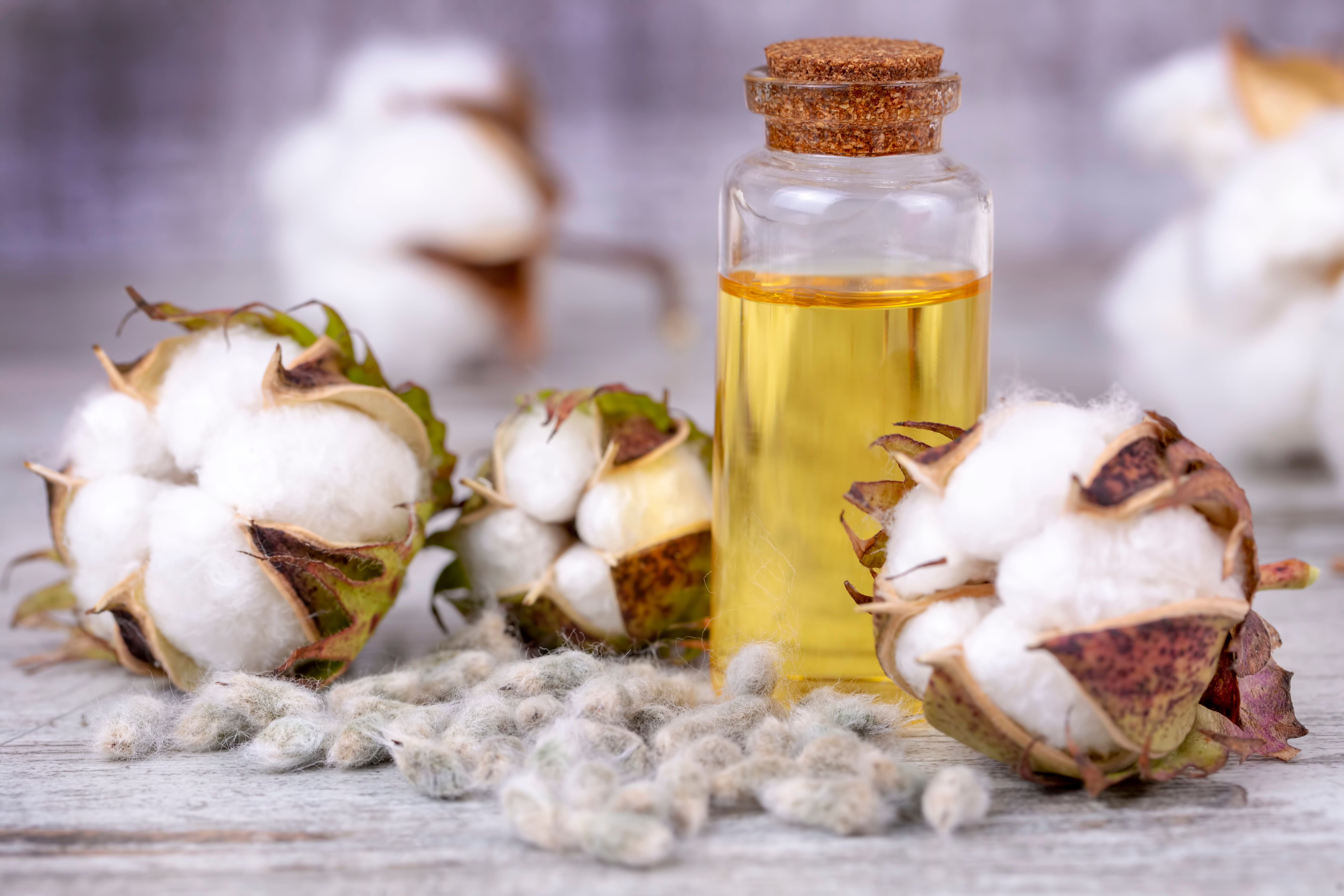Cottonseed Oil