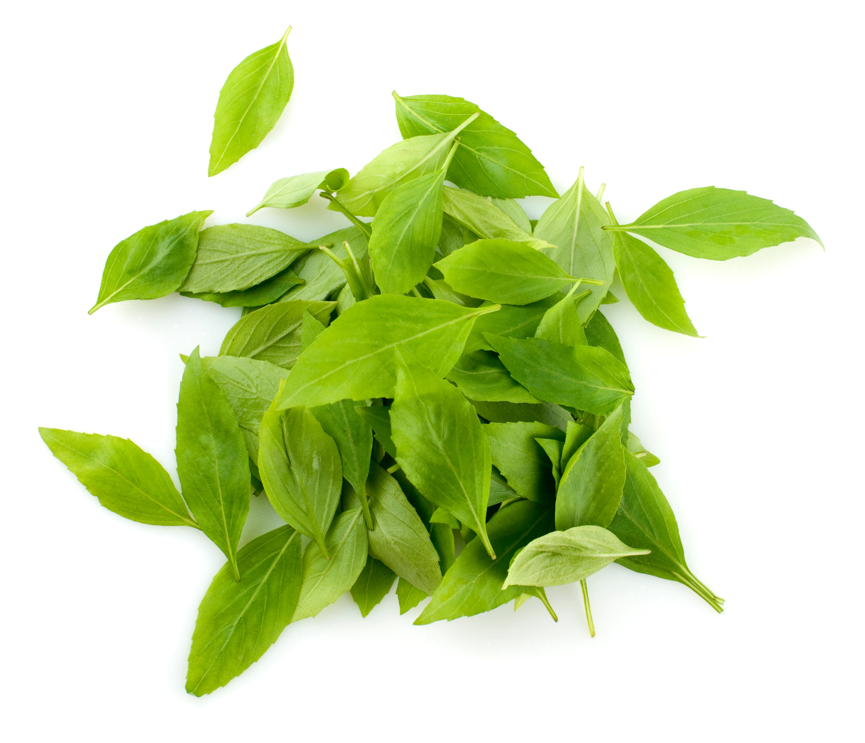 Curry Leaf Flavor