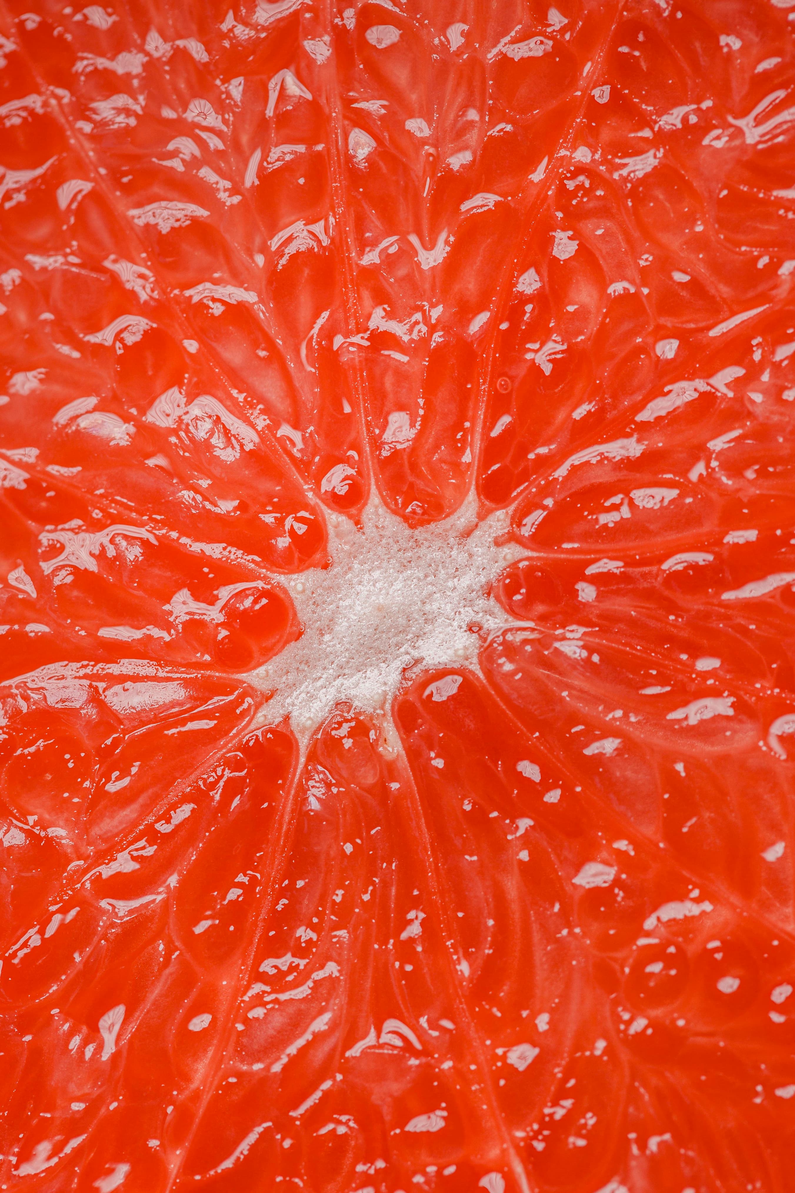 Grapefruit Seed Extract