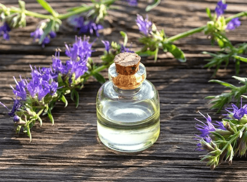 Hyssop Oil