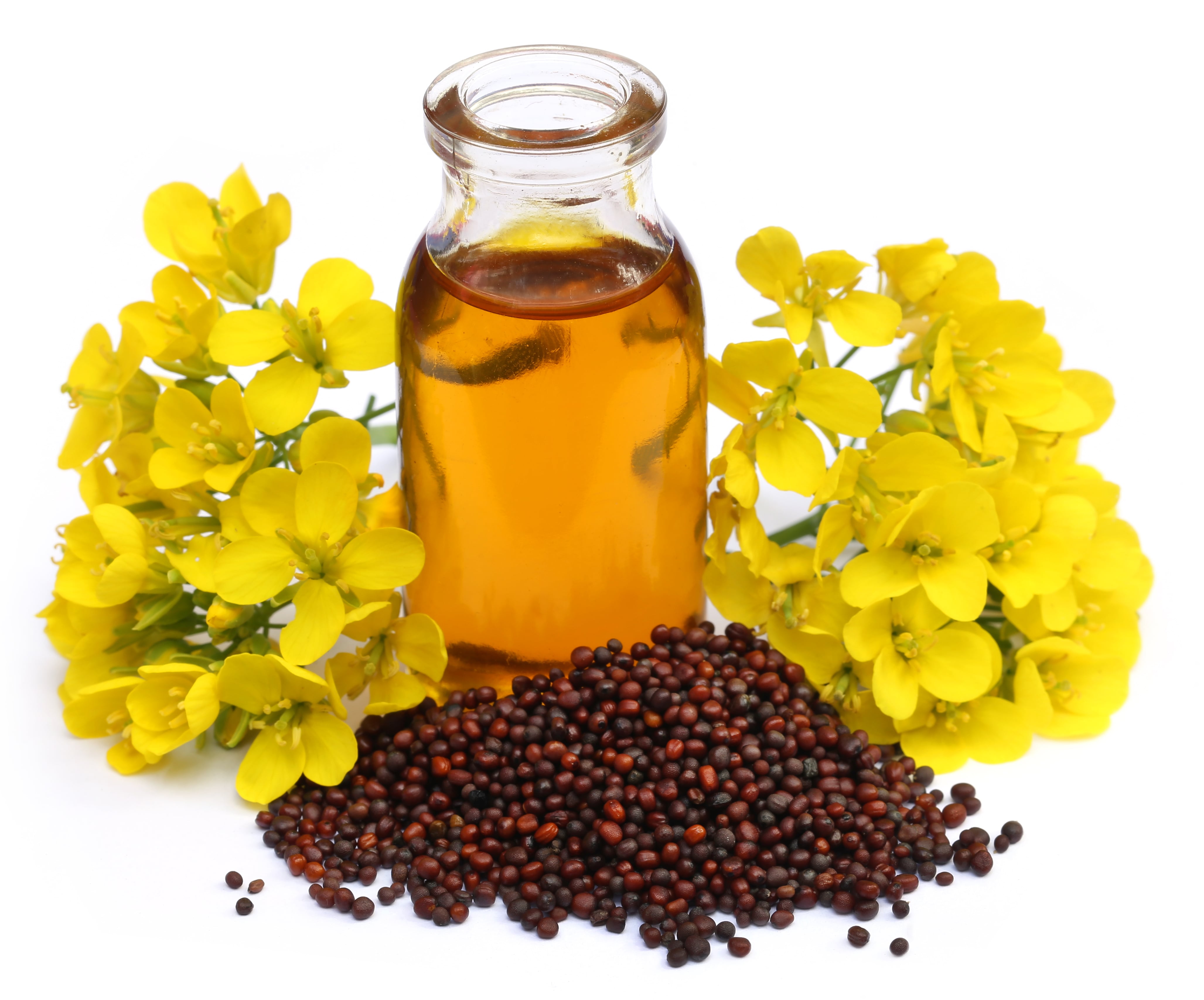 Mustard Seed Oil