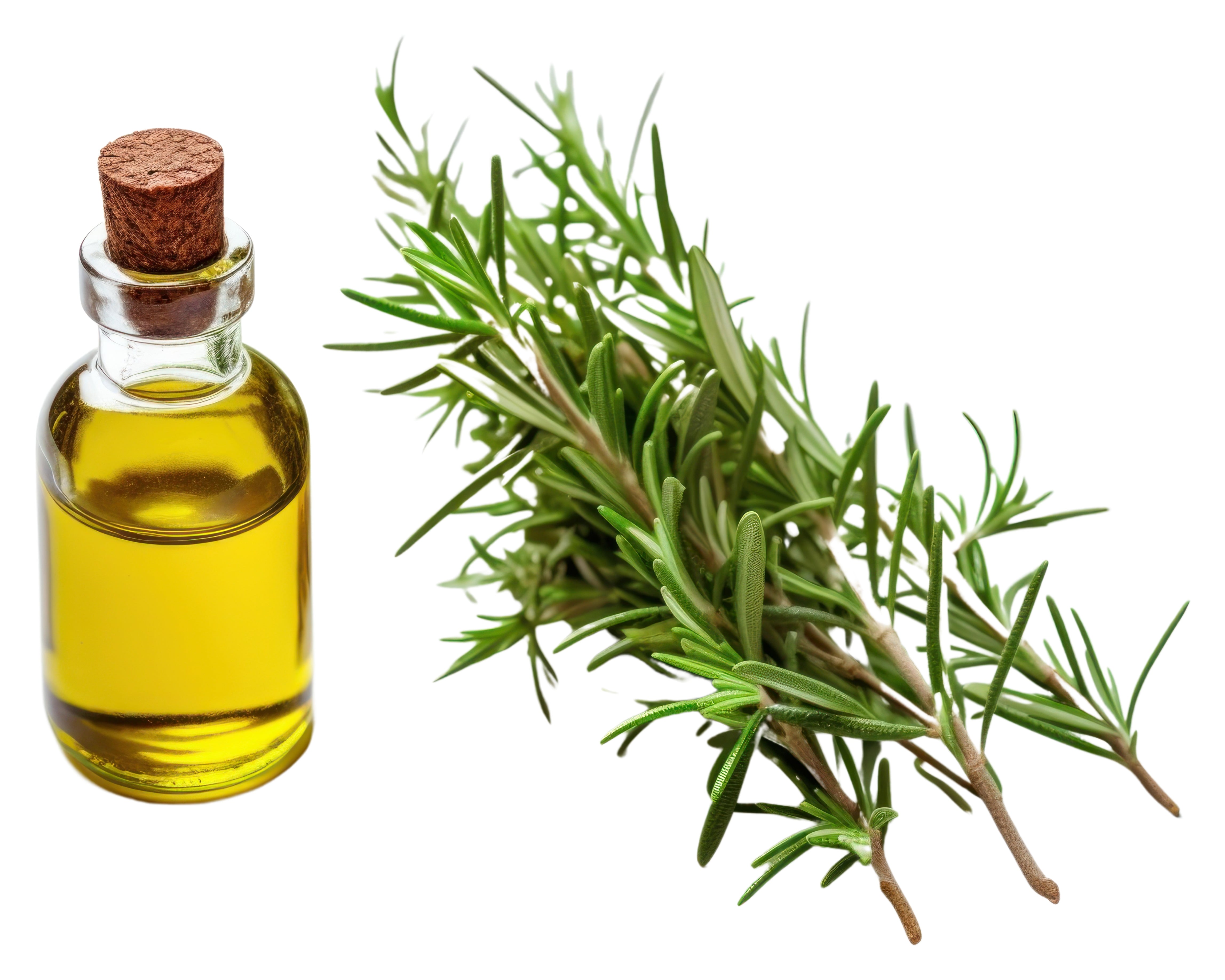 Thyme Flavor
