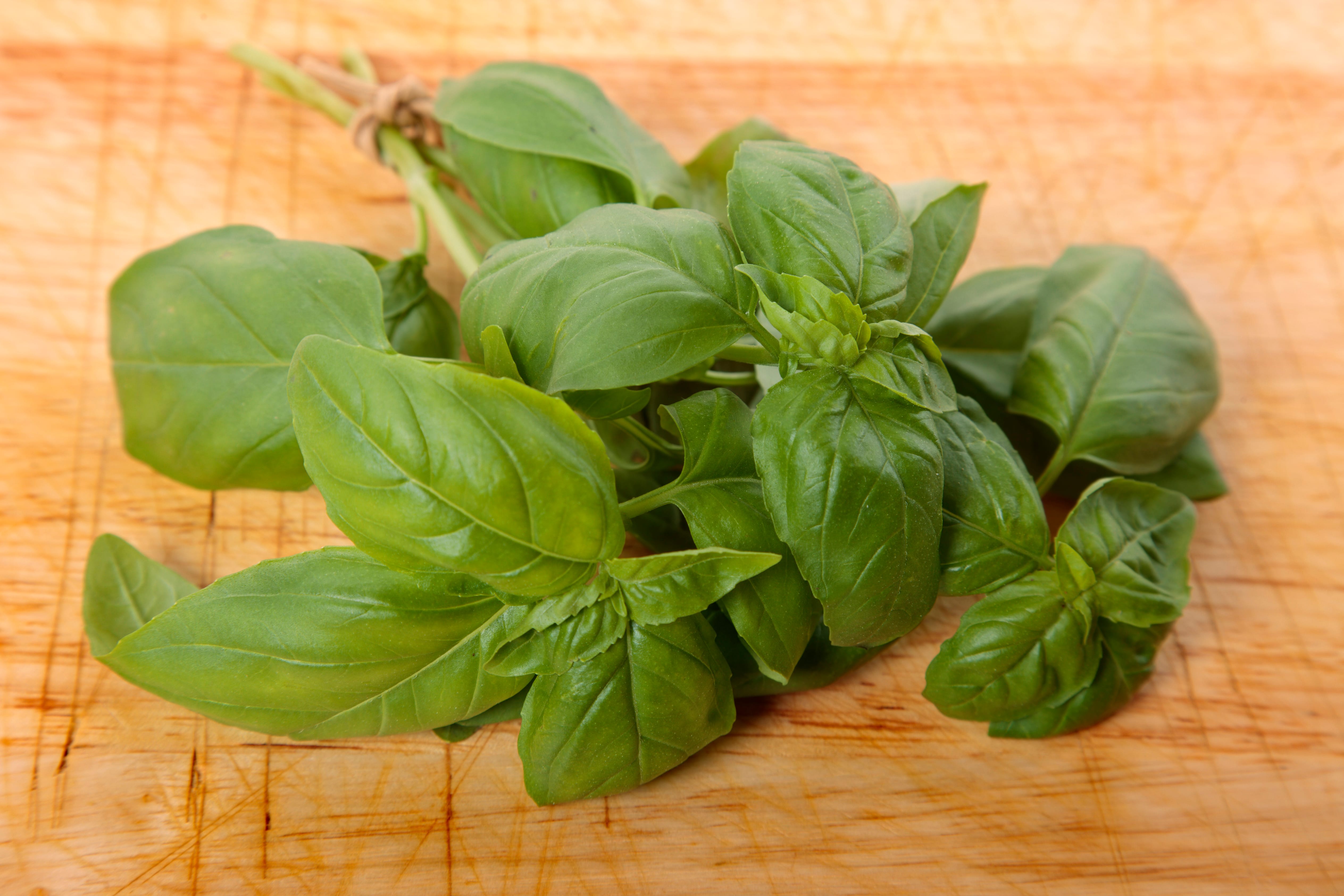 Basil Flavor