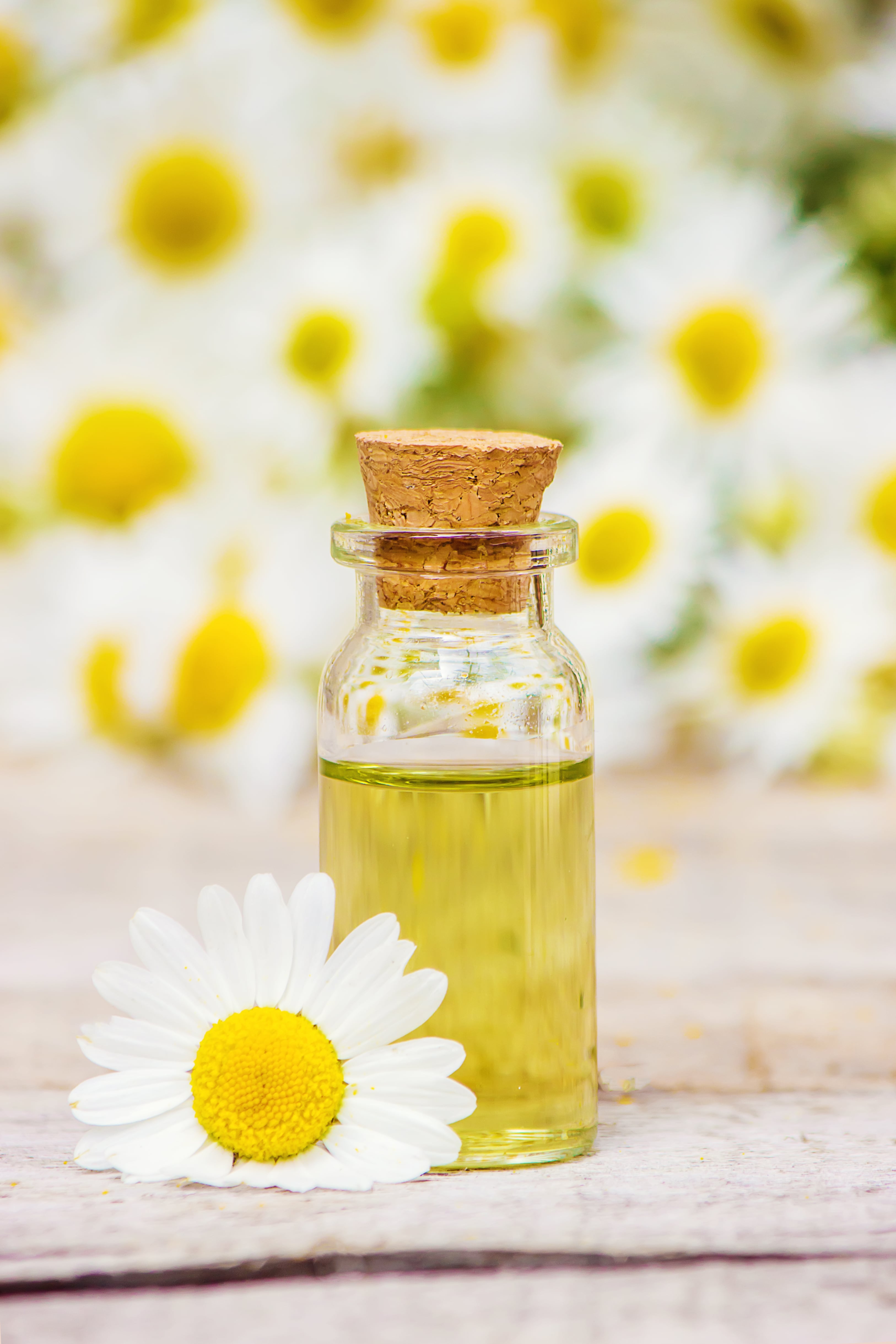 Chamomile Oil