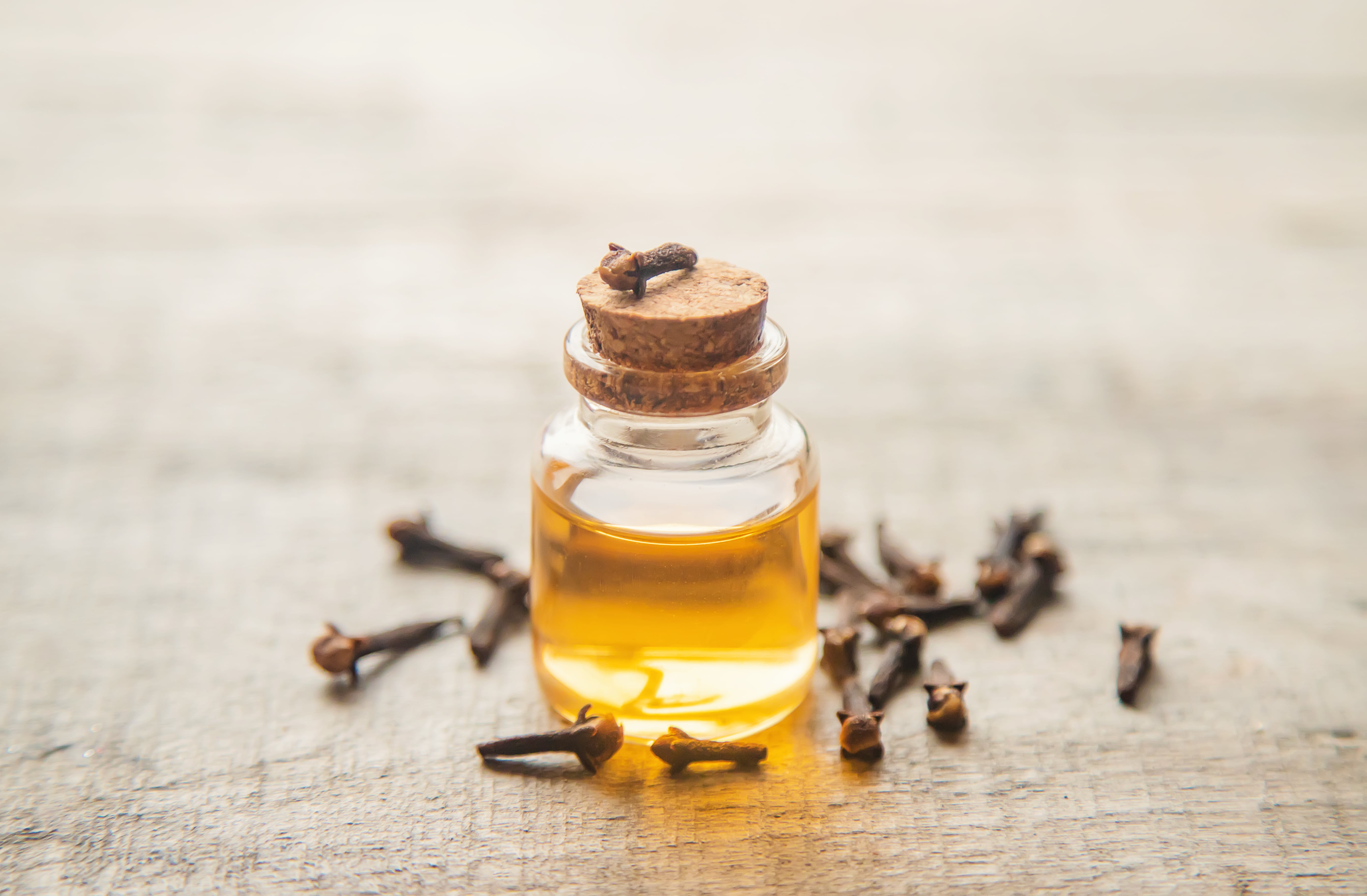 Clove Oil
