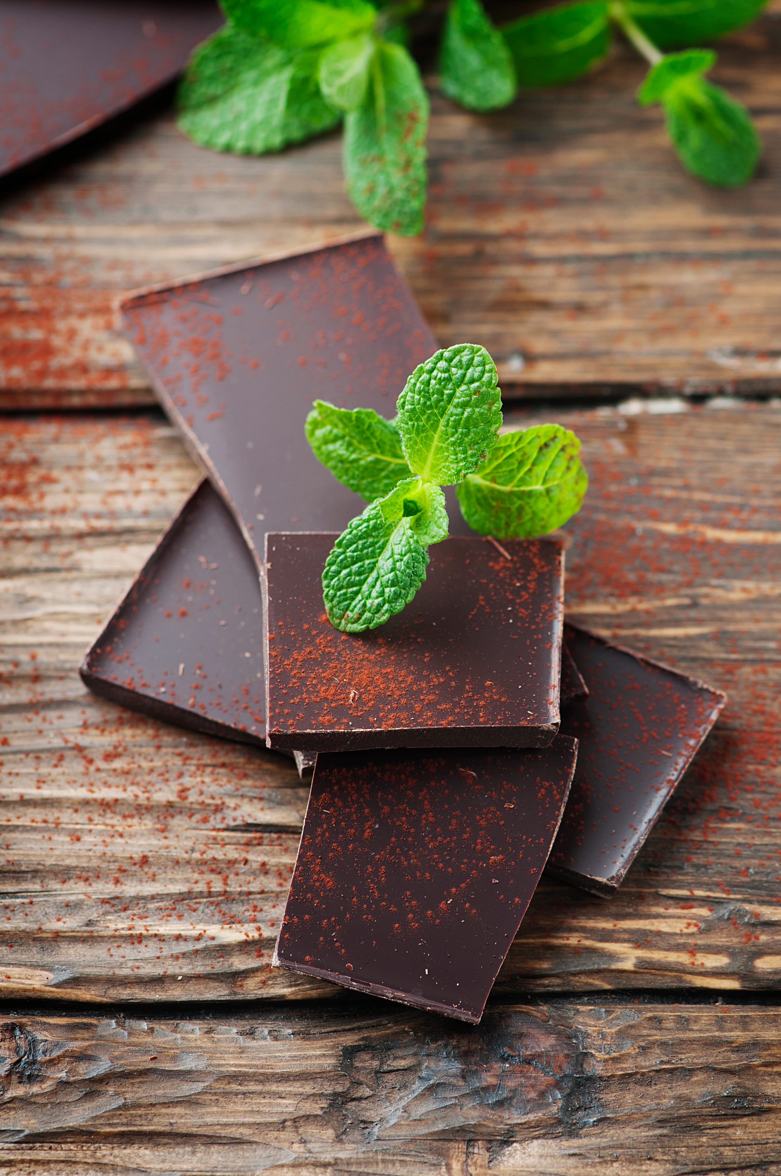 Chocolate Mint Oil