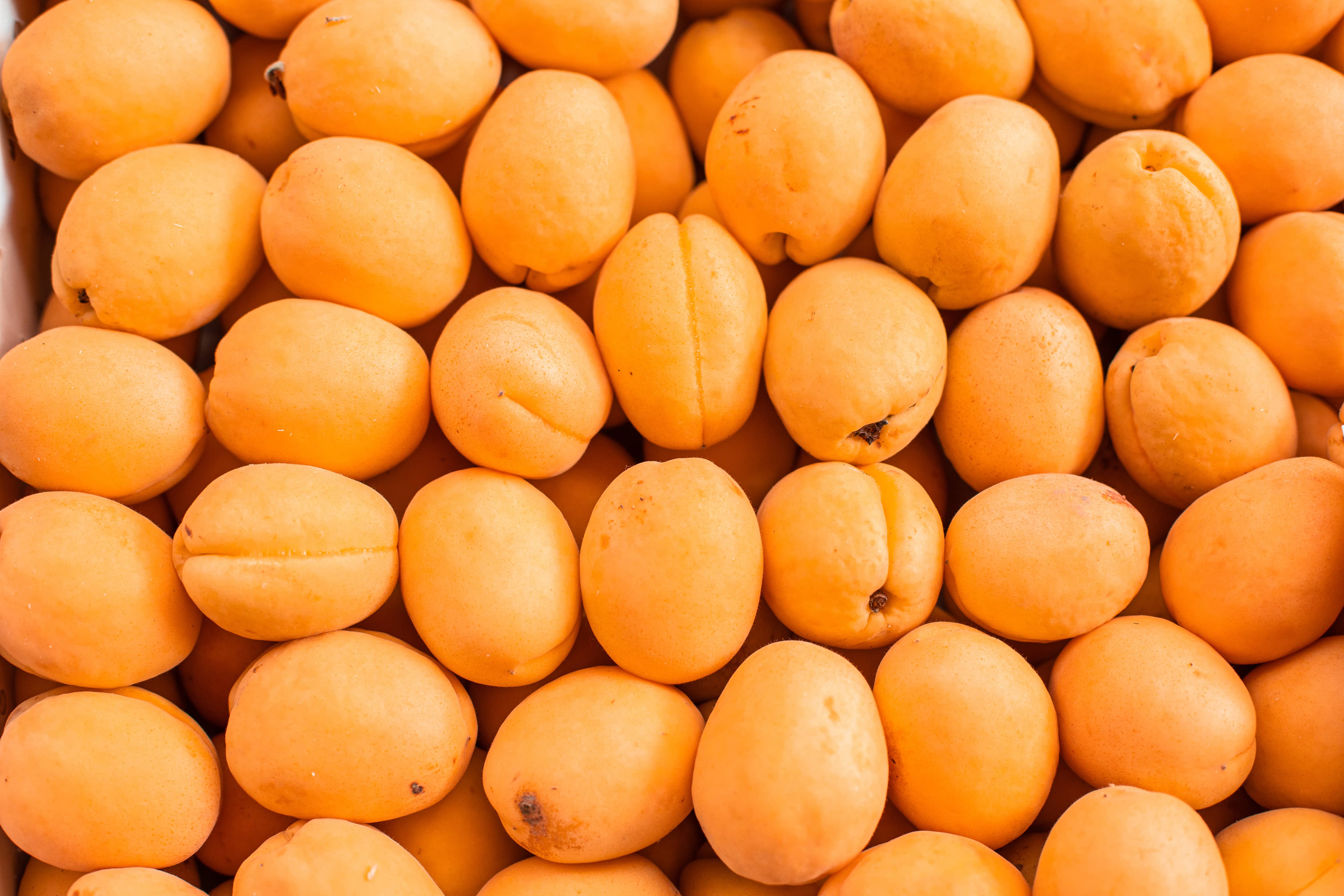 Apricot Flavor