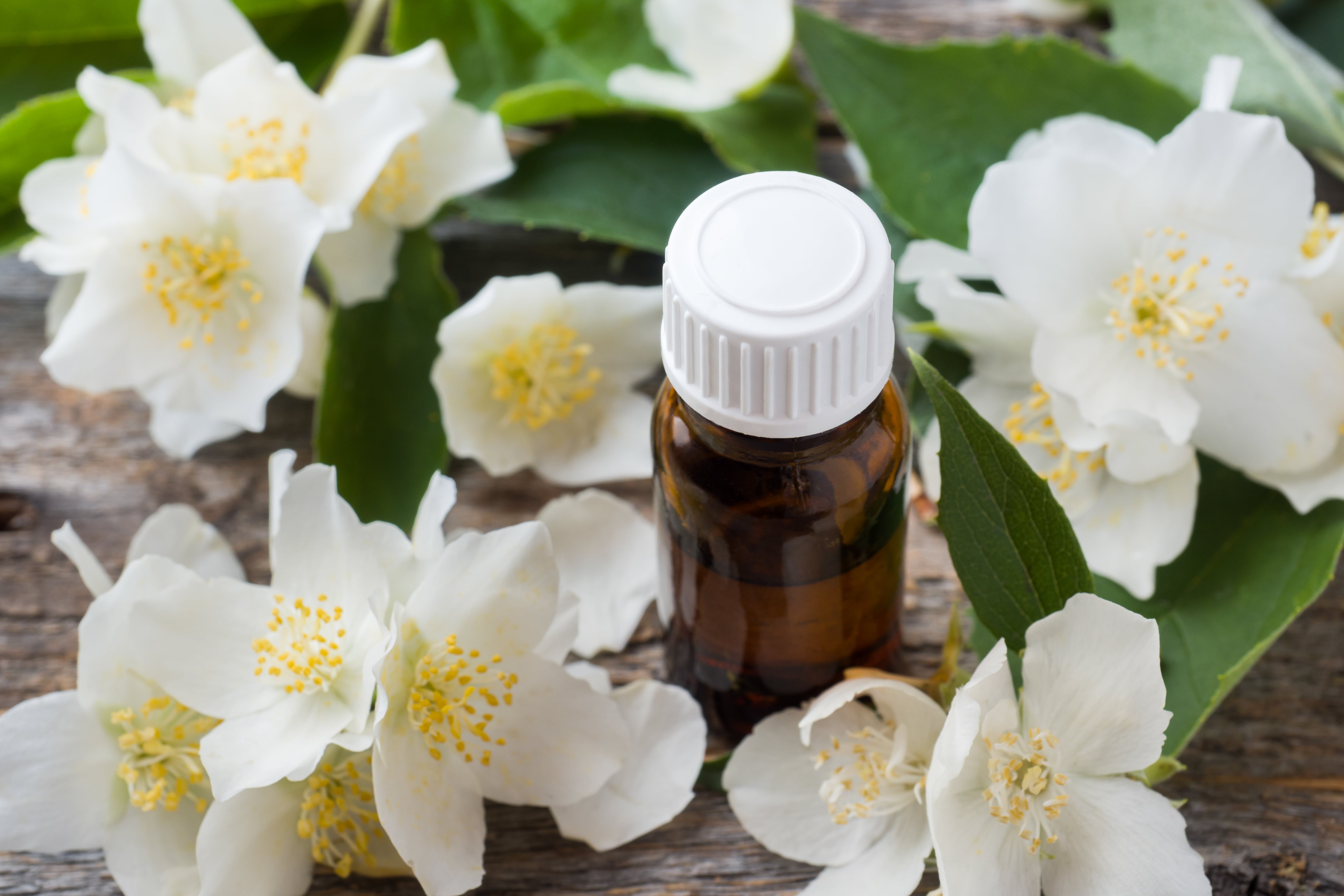 Jasmine Oil