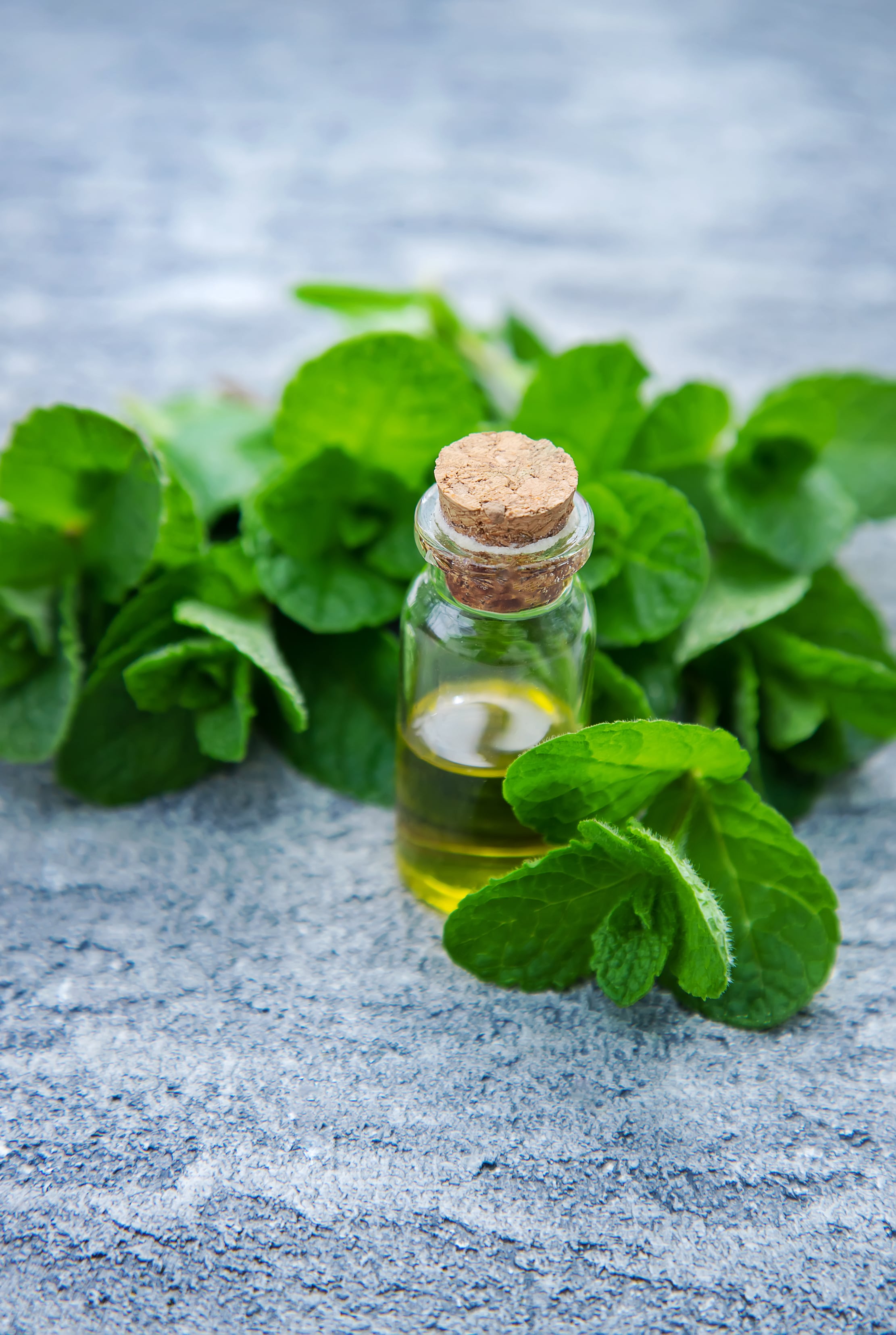 Peppermint Oil