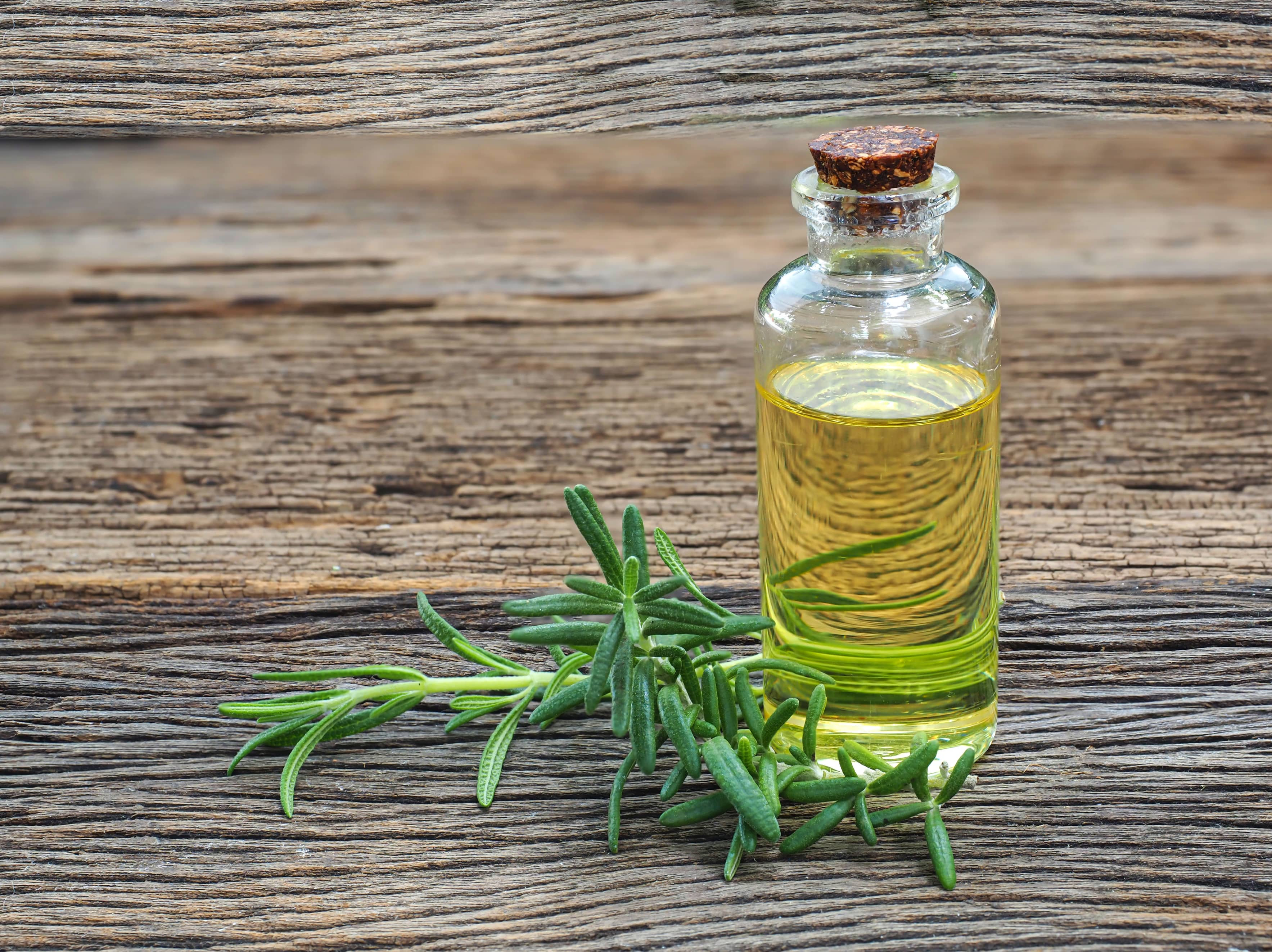 Rosemary Oil